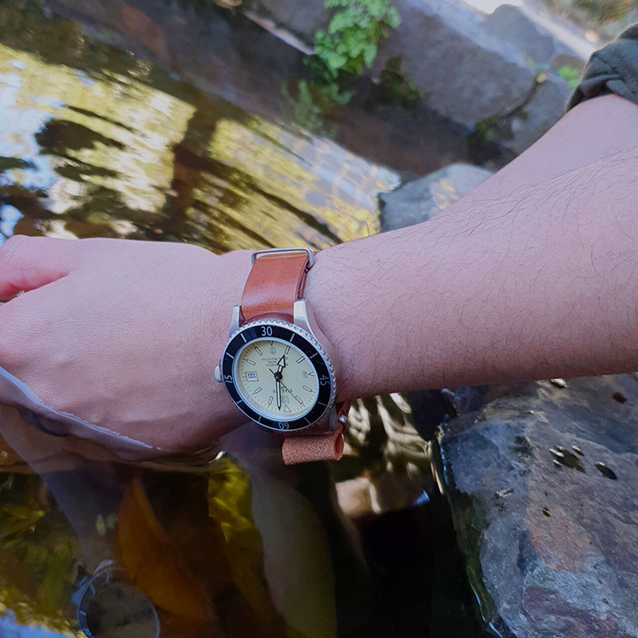 Shark watch military outlet